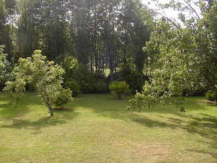 $line[hausart] cda468 Bild 9