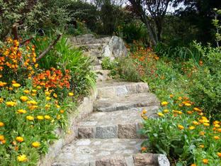 $line[hausart] cda665 Bild 9