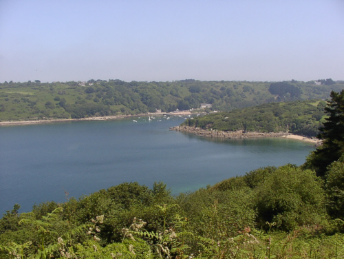 $line[hausart] cda810 Bild 5