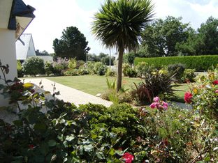 $line[hausart] fin816a Bild 9